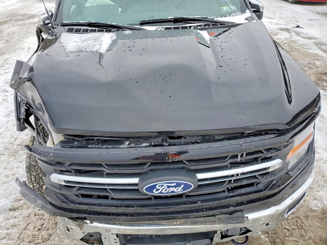 2025 FORD F150 XLT photo 21