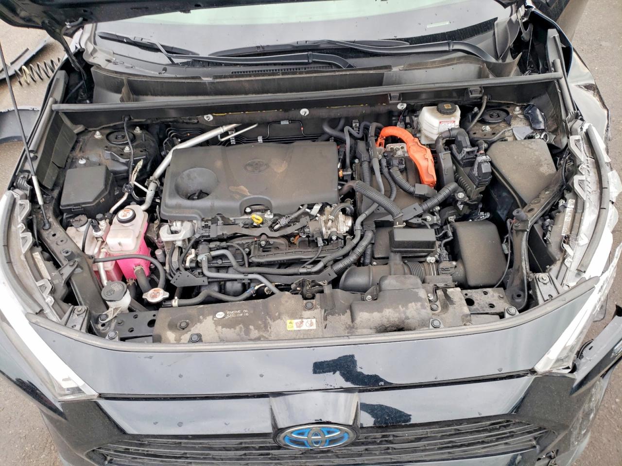 2024 TOYOTA RAV4 XLE photo 23