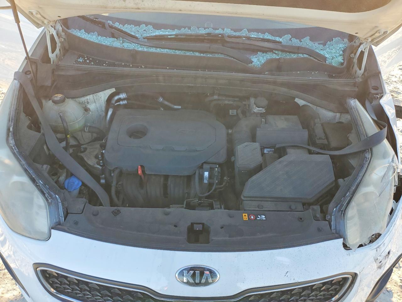 2017 KIA SPORTAGE LX photo 12