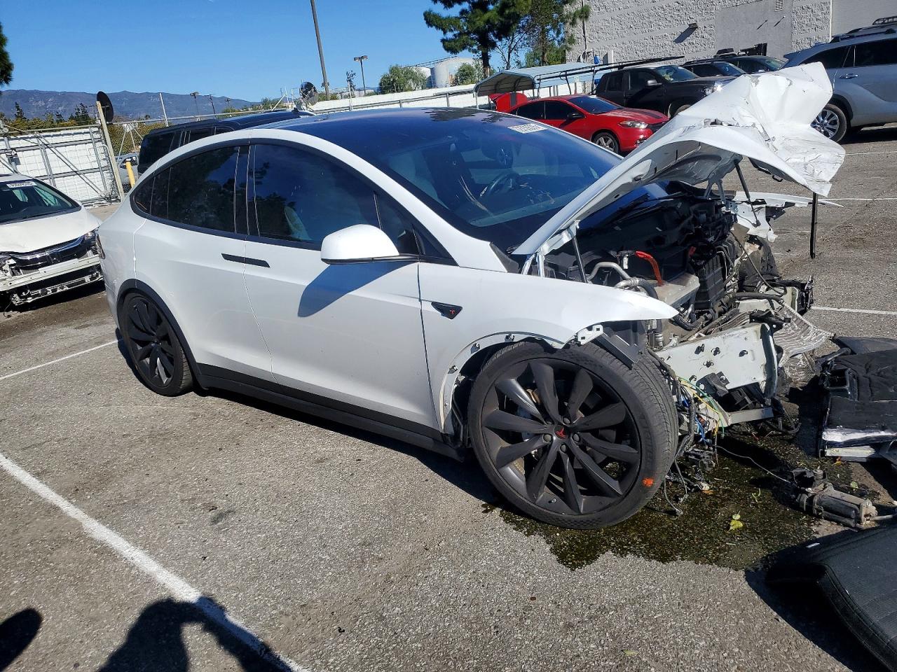 2018 TESLA MODEL X photo 10