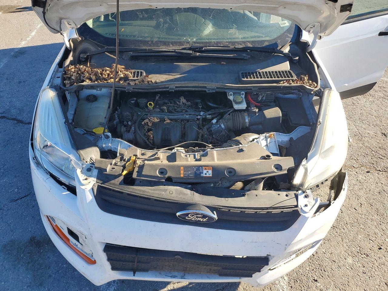 2016 FORD ESCAPE S photo 12