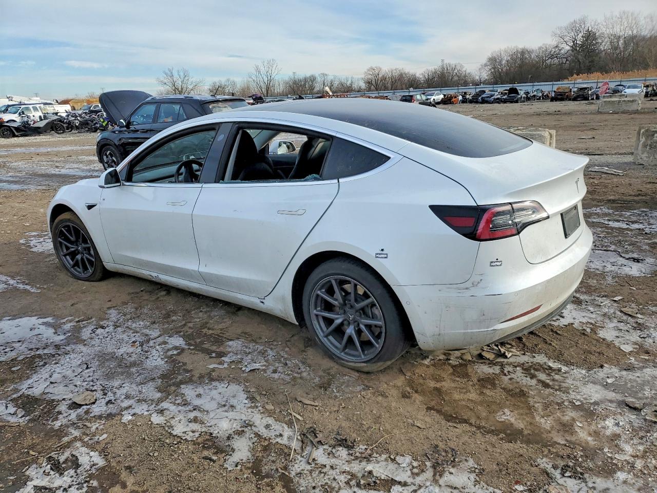 2019 TESLA MODEL 3 photo 2