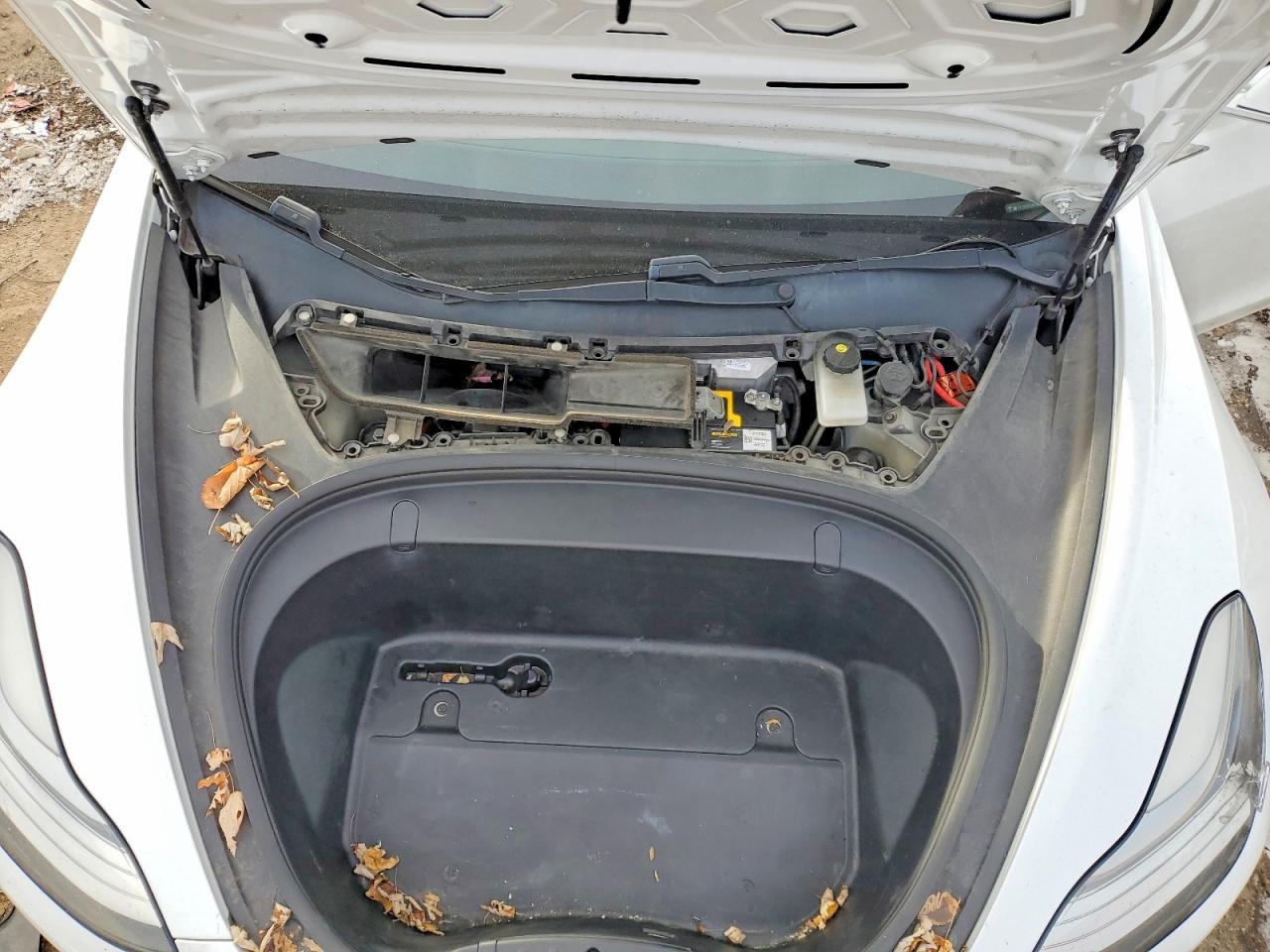 2019 TESLA MODEL 3 photo 11