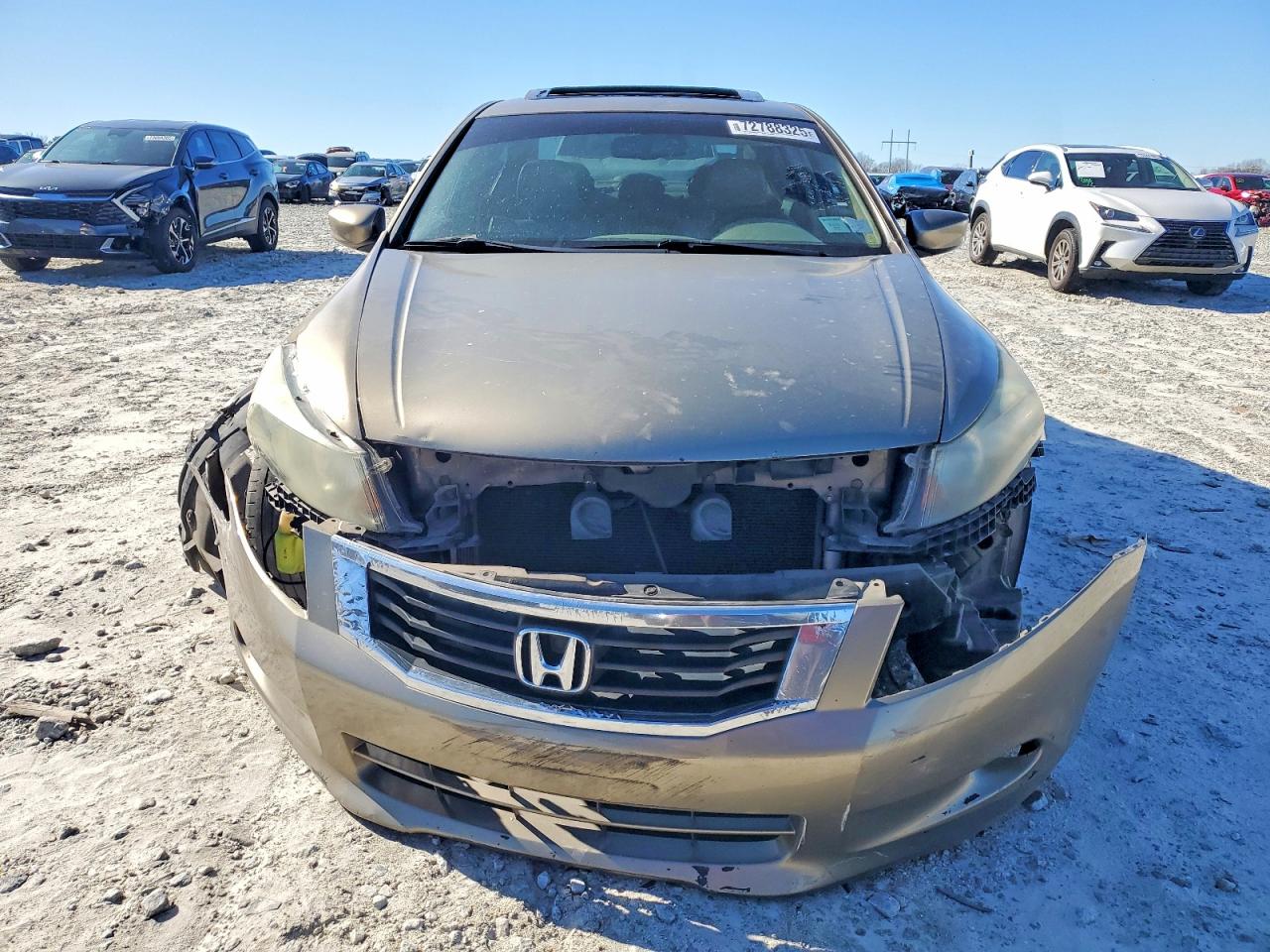 2008 HONDA ACCORD EXL photo 5