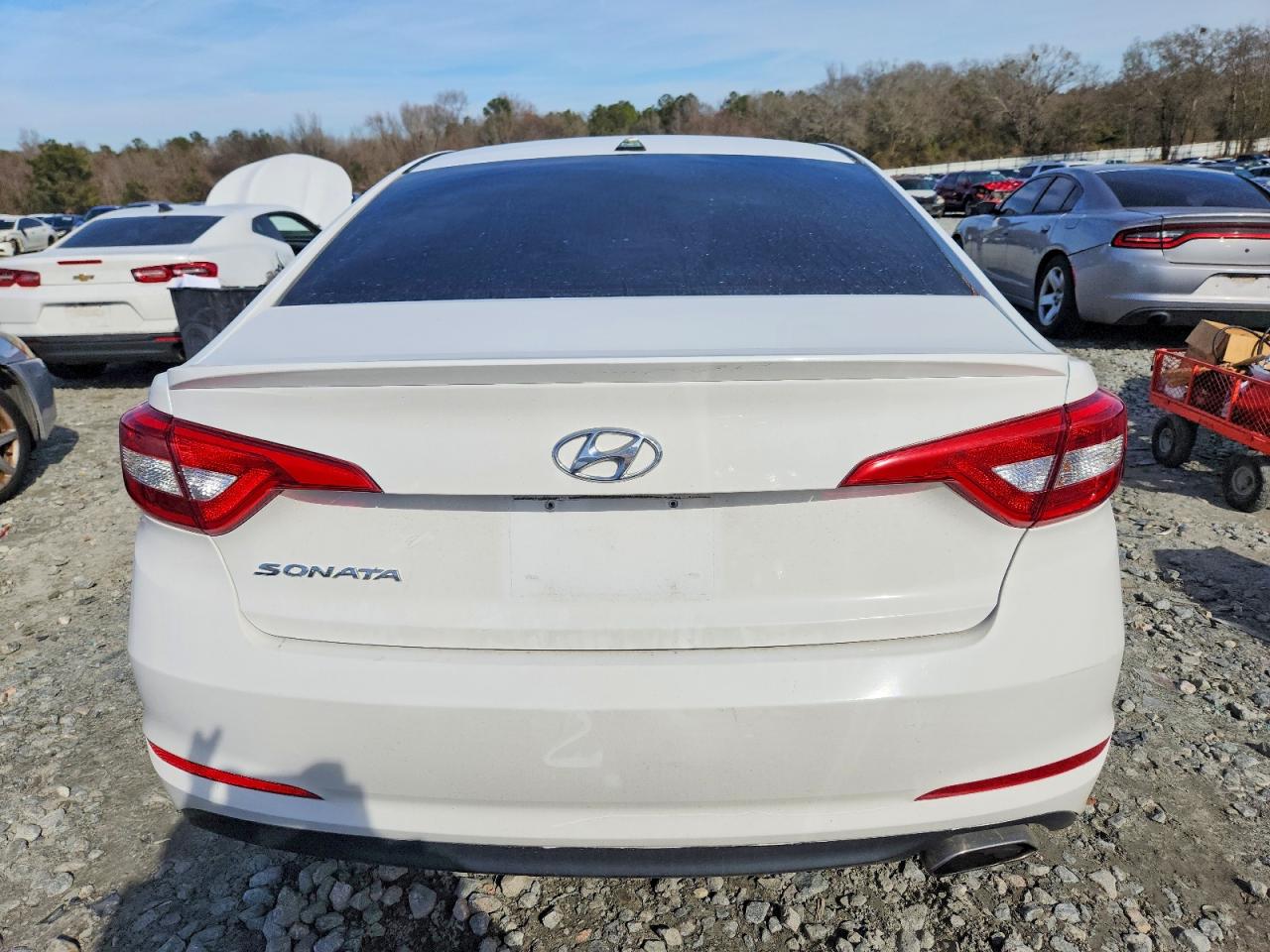 2015 HYUNDAI SONATA SE photo 11