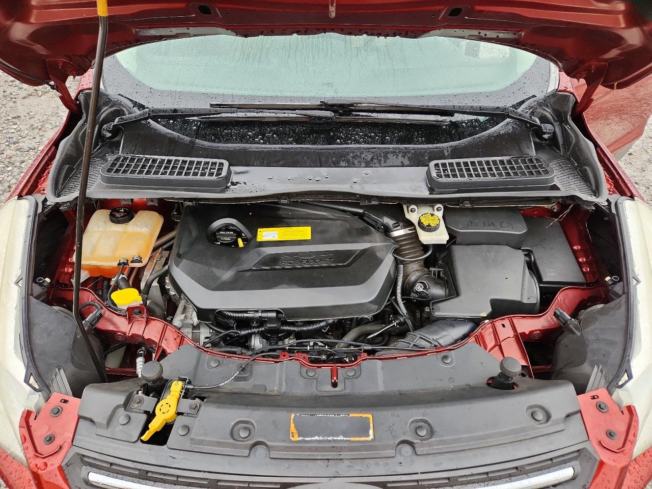 2015 FORD ESCAPE SE photo 23