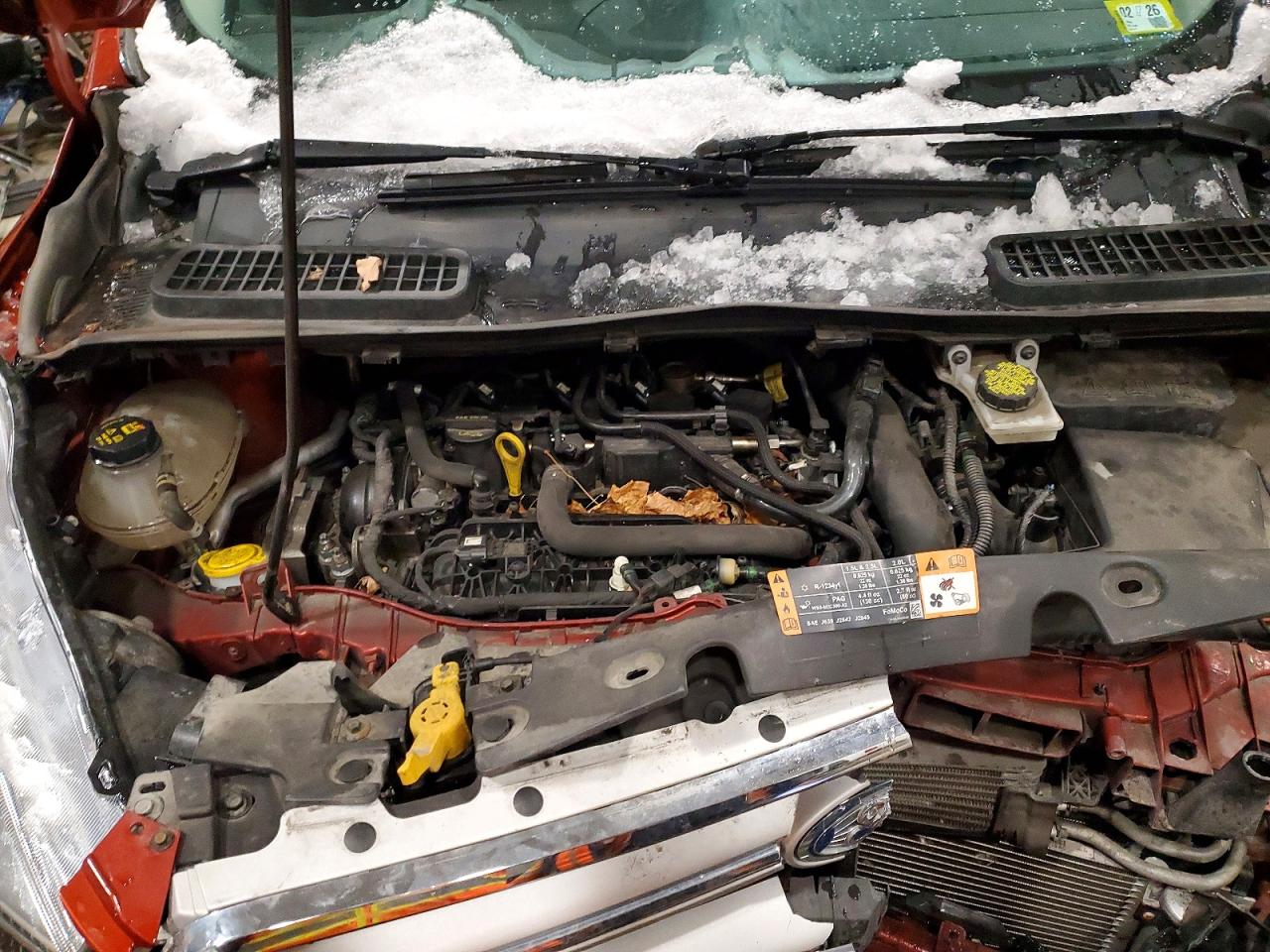 2019 FORD ESCAPE SE photo 31