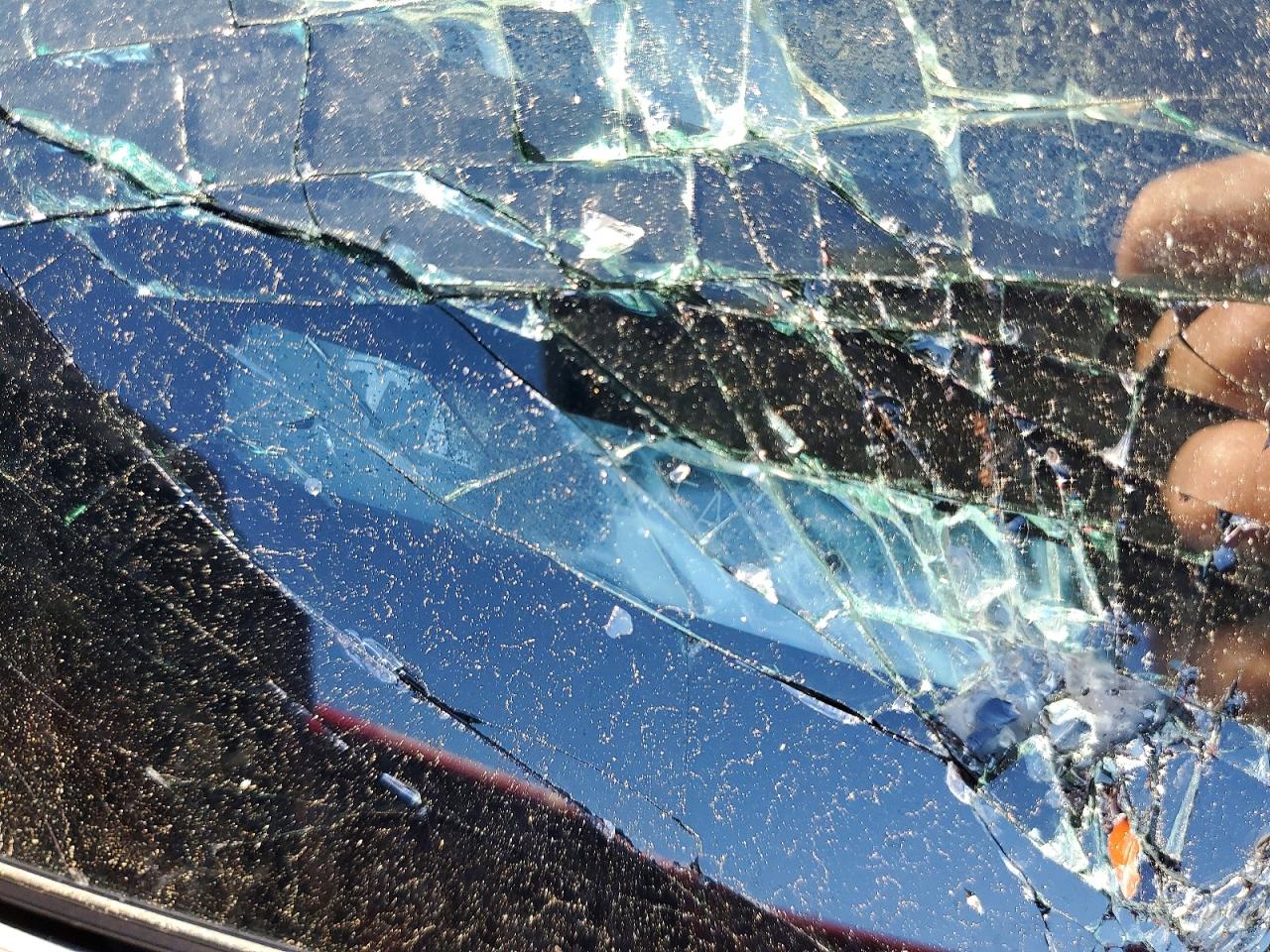 2024 TESLA MODEL 3 photo 12