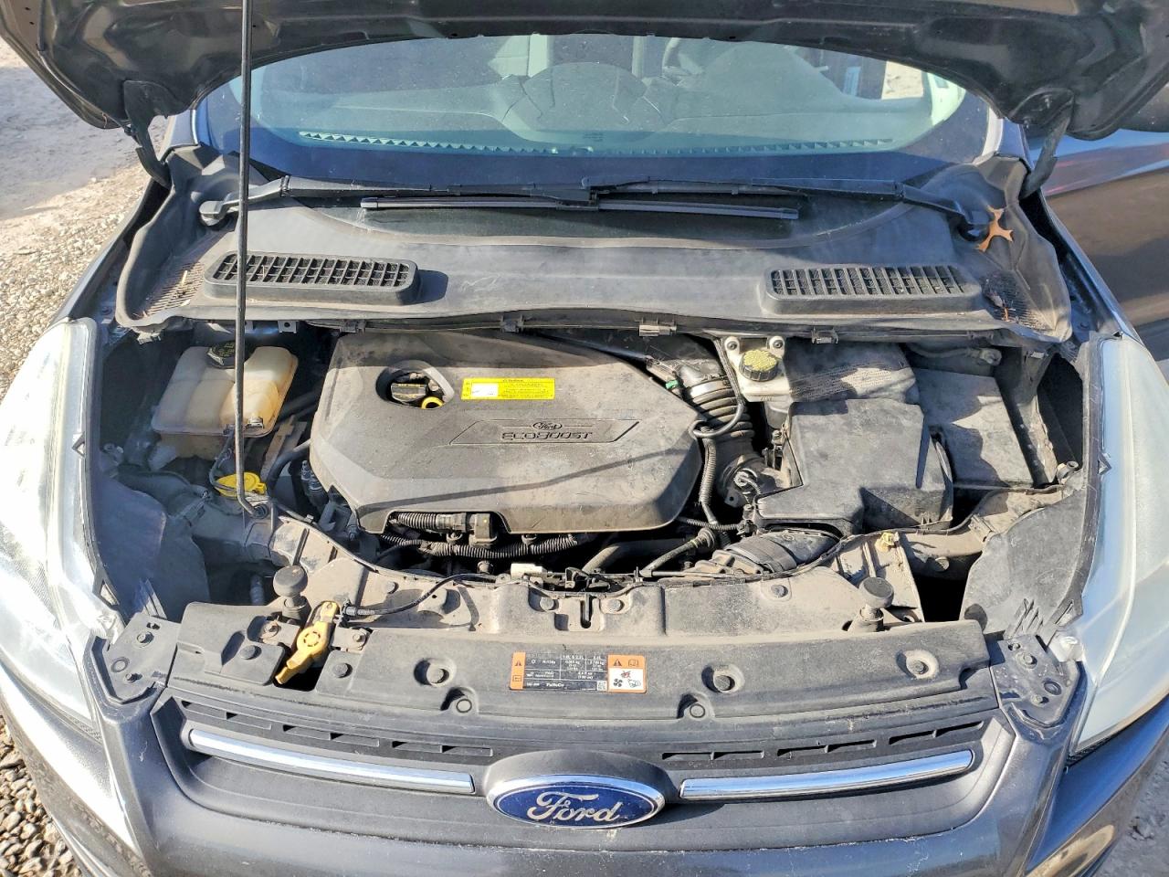 2015 FORD ESCAPE SE photo 12