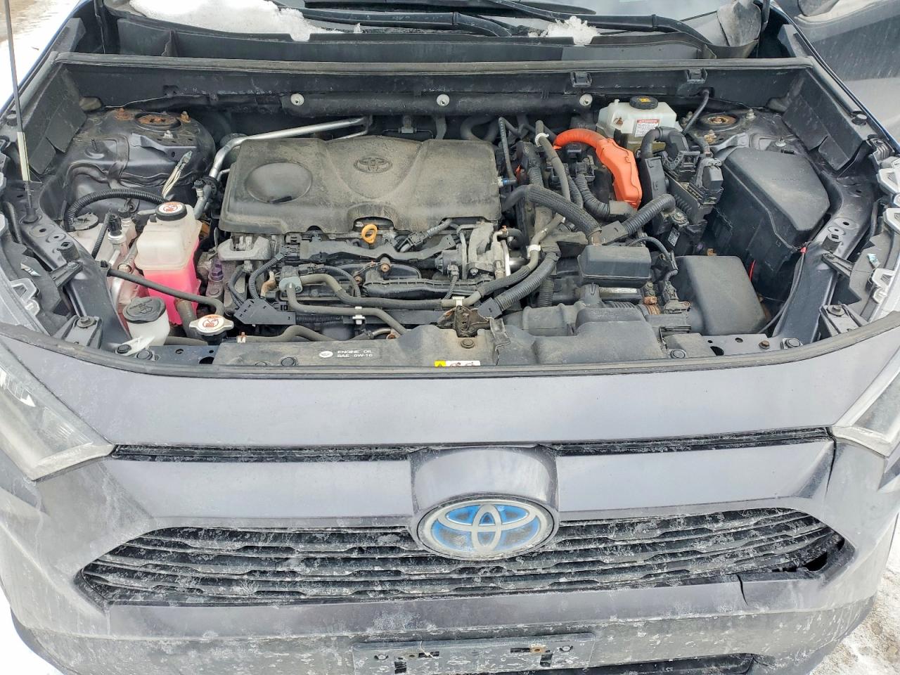 2019 TOYOTA RAV4 LE photo 23