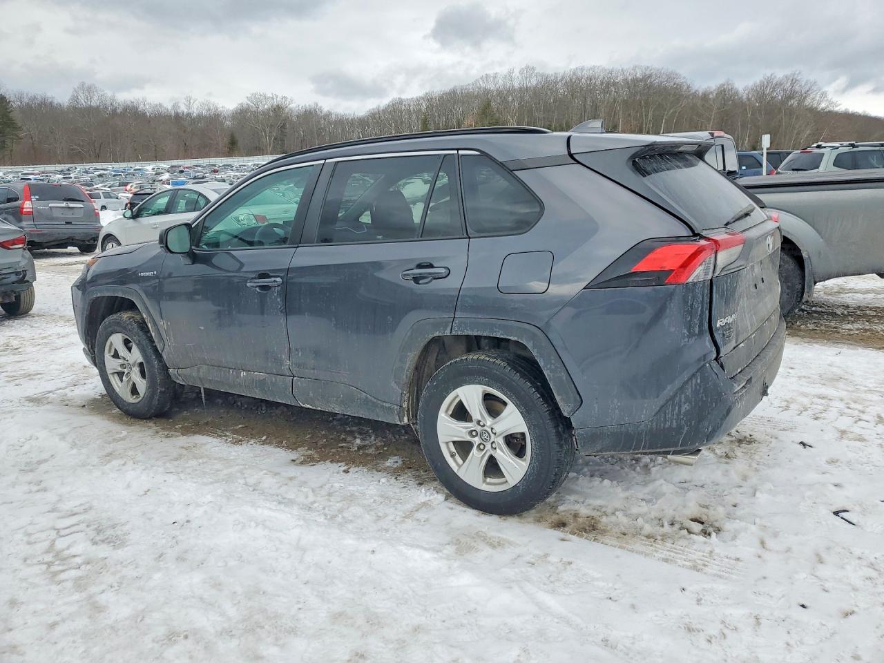 2019 TOYOTA RAV4 LE photo 3