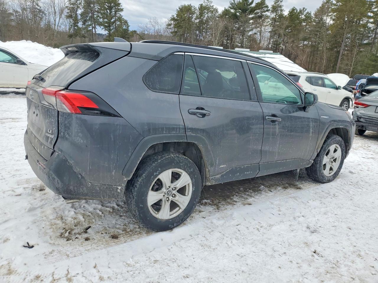 2019 TOYOTA RAV4 LE photo 5