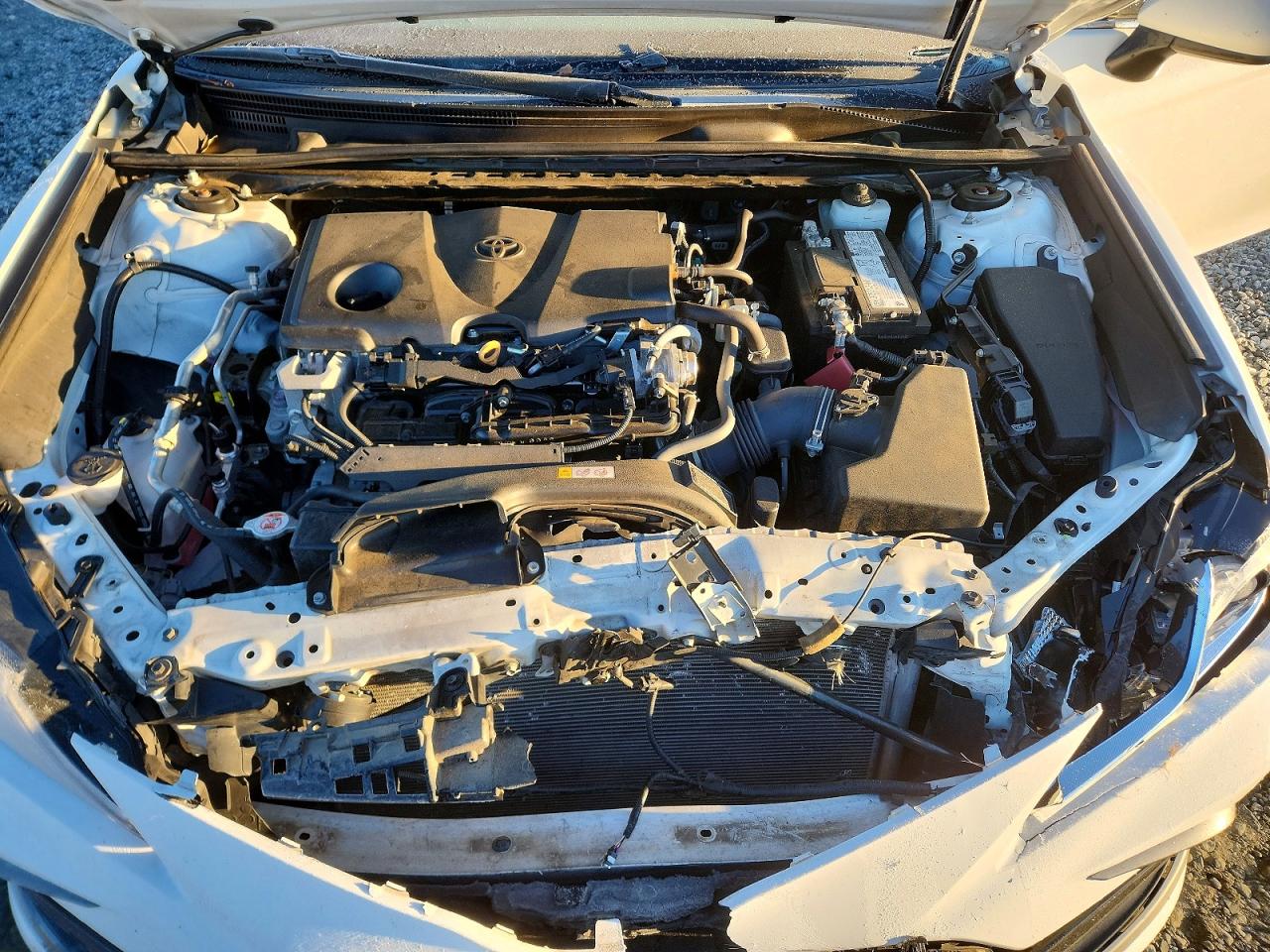 2022 TOYOTA CAMRY LE photo 11