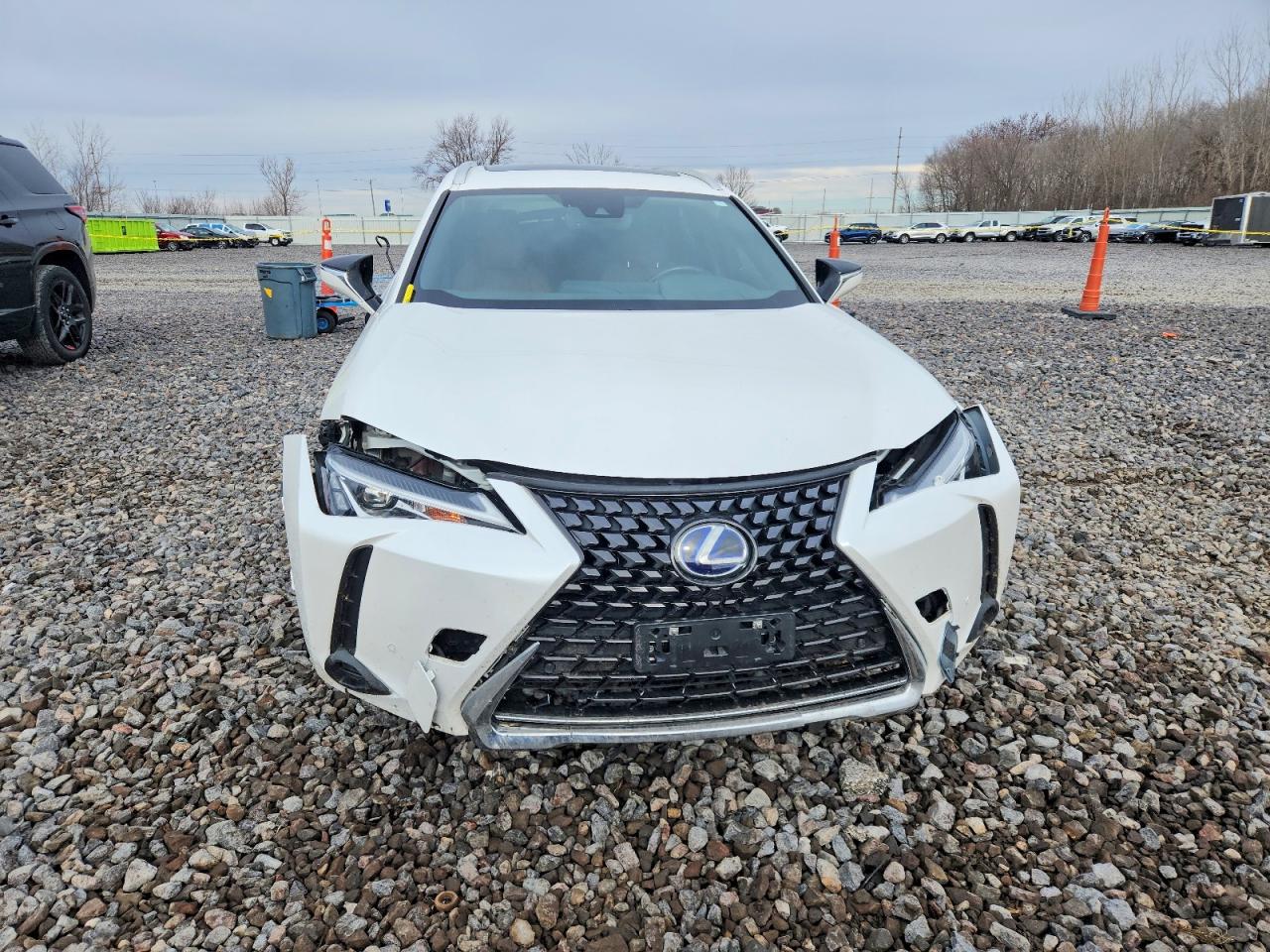 2020 LEXUS UX 250H photo 5