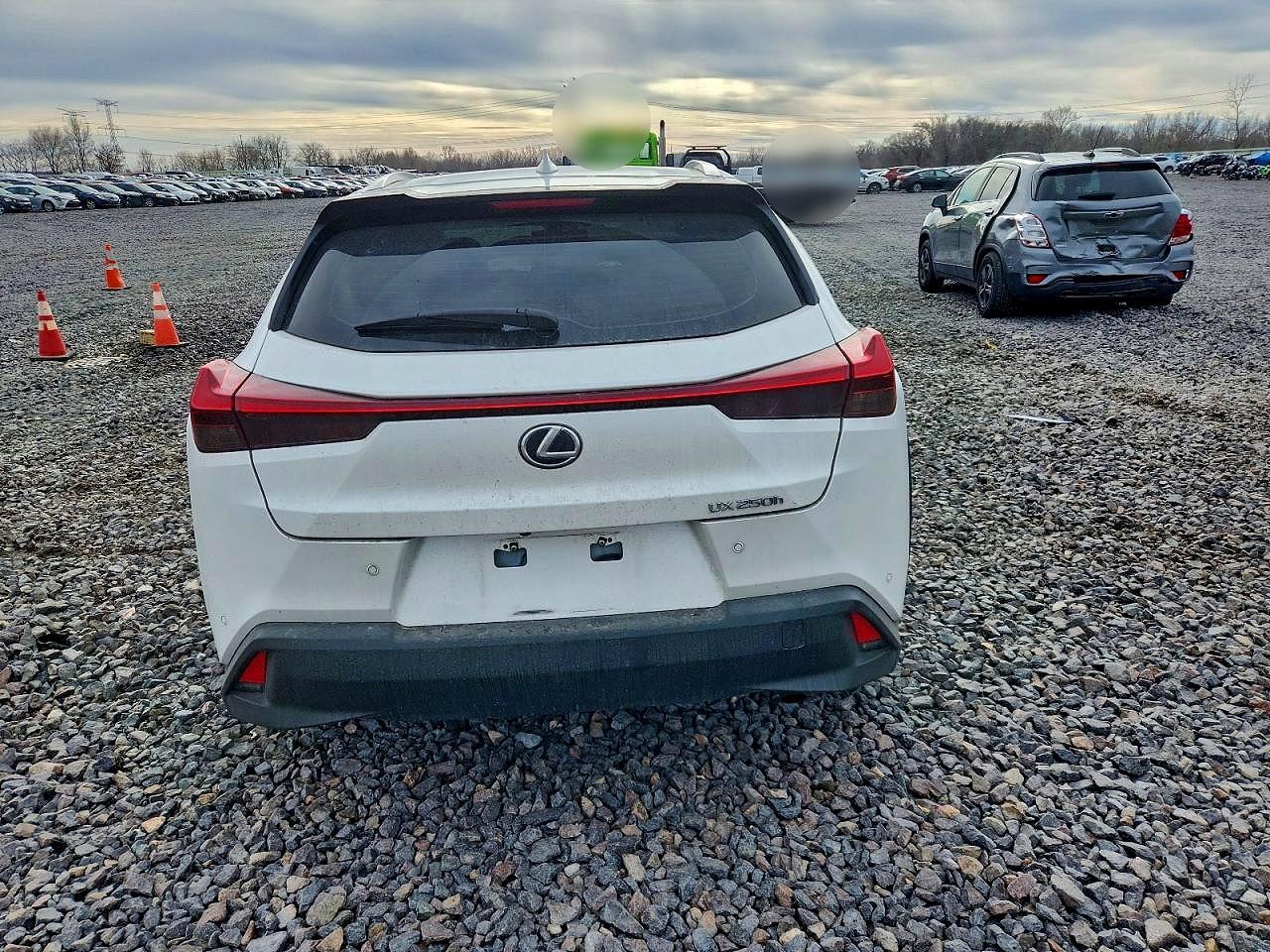 2020 LEXUS UX 250H photo 6