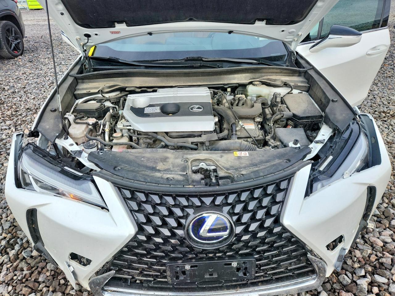 2020 LEXUS UX 250H photo 11