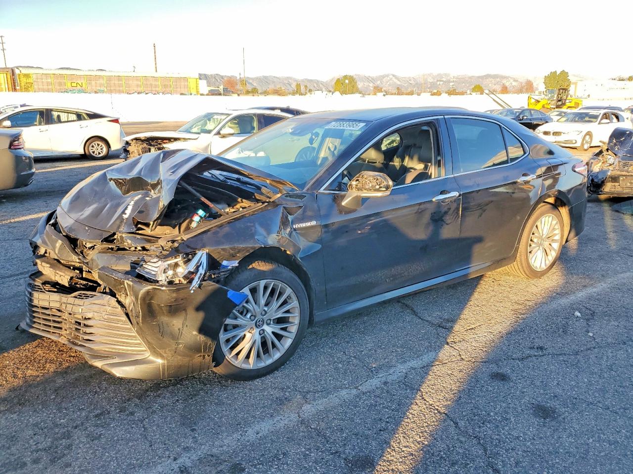 2019 TOYOTA CAMRY