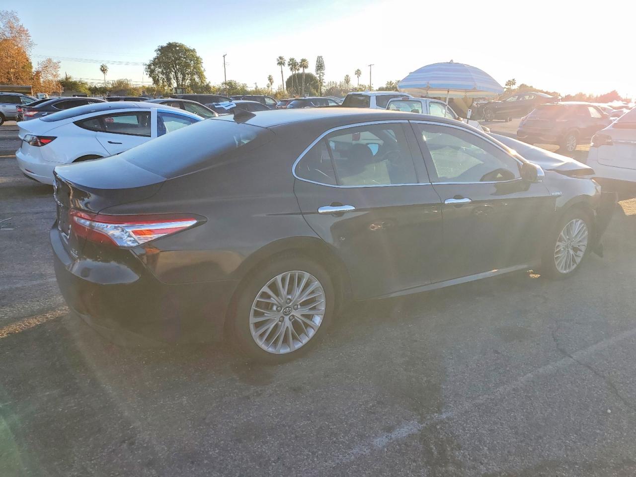 2019 TOYOTA CAMRY HYBRID photo 7