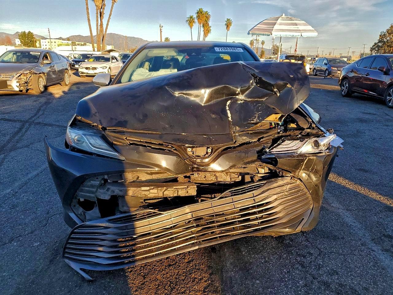2019 TOYOTA CAMRY HYBRID photo 13