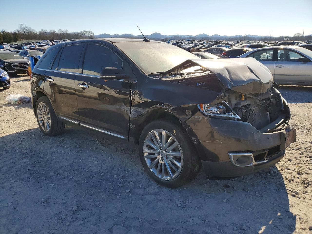 2014 LINCOLN TOWNHOUSE MKX photo 10