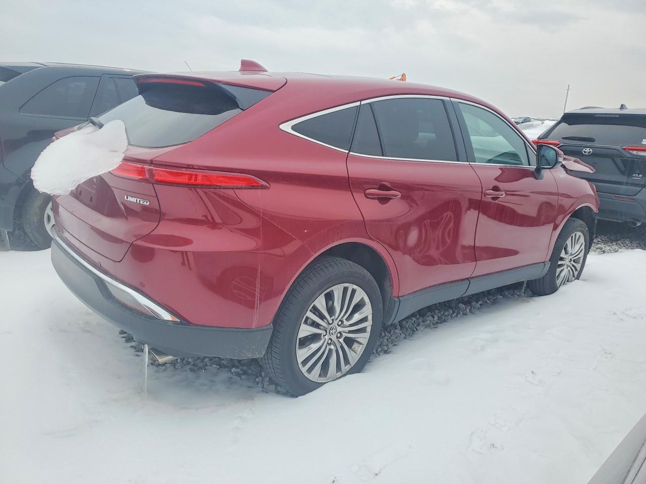 2023 TOYOTA VENZA LE photo 3