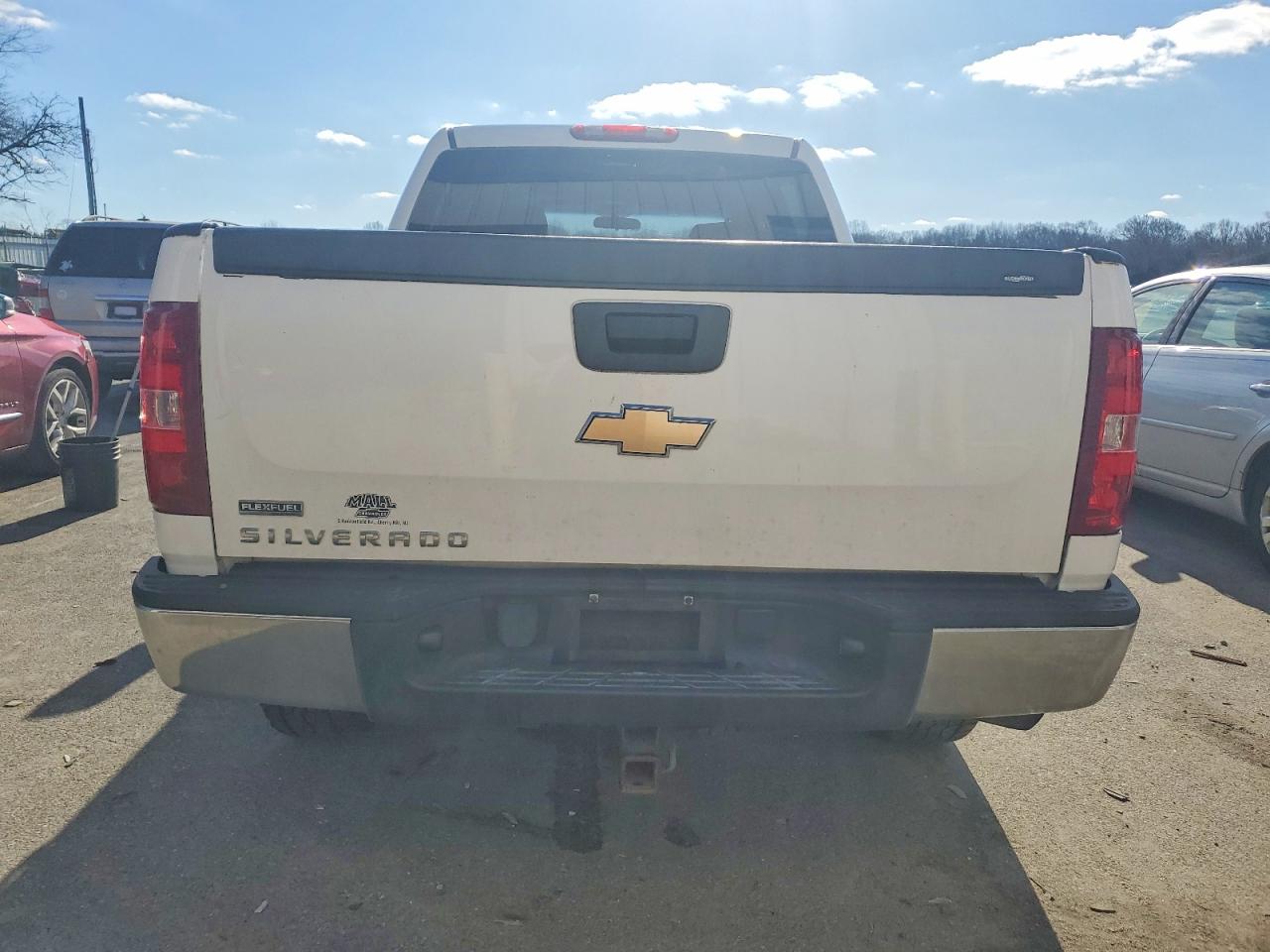 2010 CHEVROLET SILVERADO C1500 photo 11