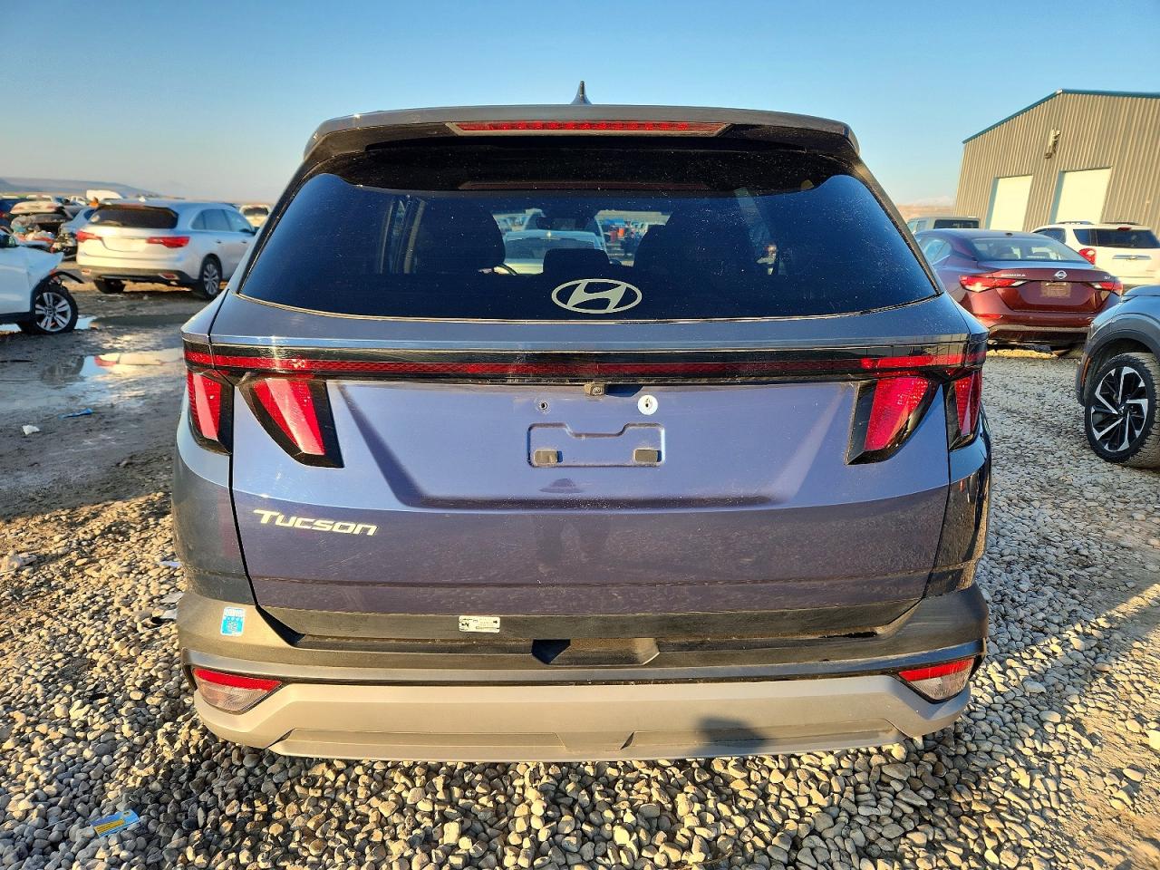 2025 HYUNDAI TUCSON SEL photo 11