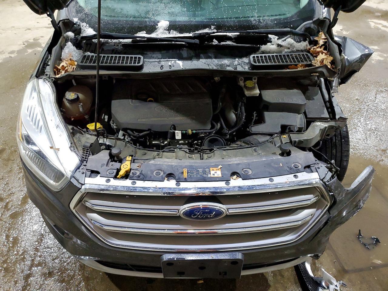 2017 FORD ESCAPE SE photo 12