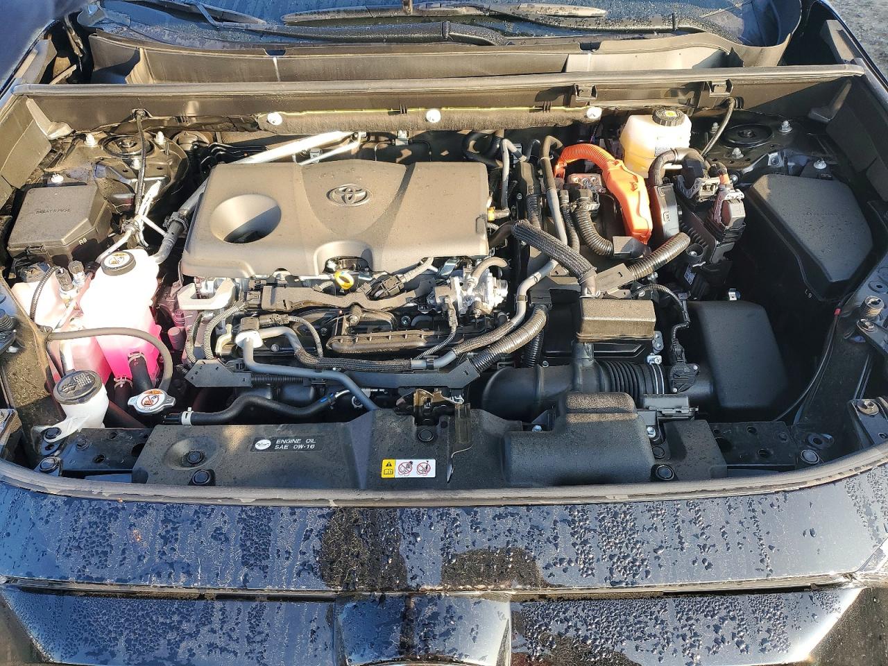2025 TOYOTA RAV4 XLE photo 12