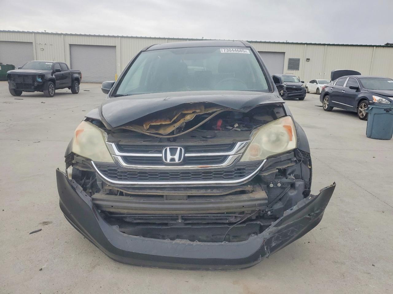 2011 HONDA CR-V EXL photo 5