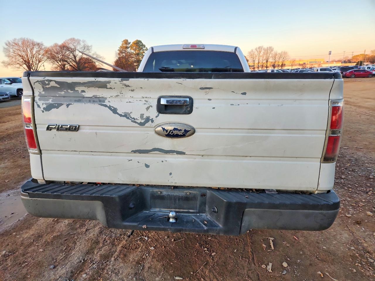 2011 FORD F150 photo 6
