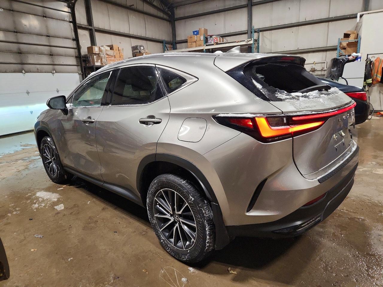 2022 LEXUS NX 350H photo 2