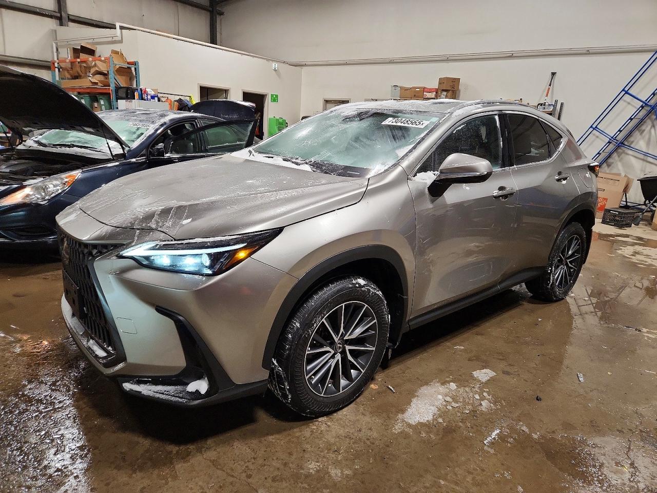 2022 LEXUS NX
