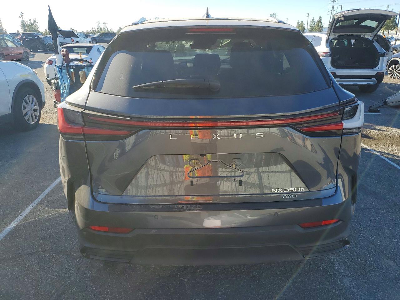 2024 LEXUS NX 350H BASE photo 6