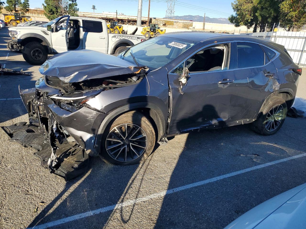 2024 LEXUS NX