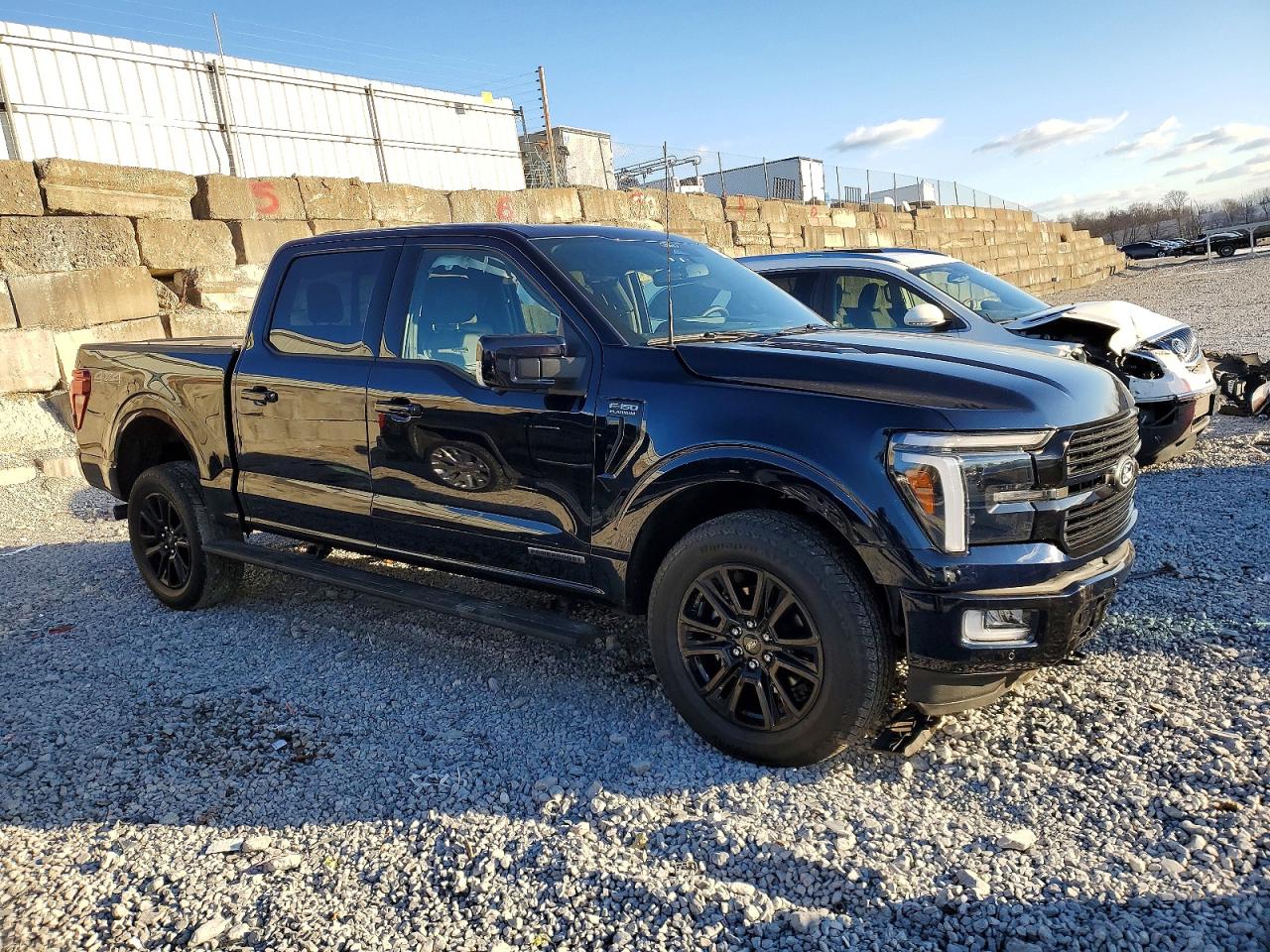 2025 FORD F150 PLATINUM photo 7