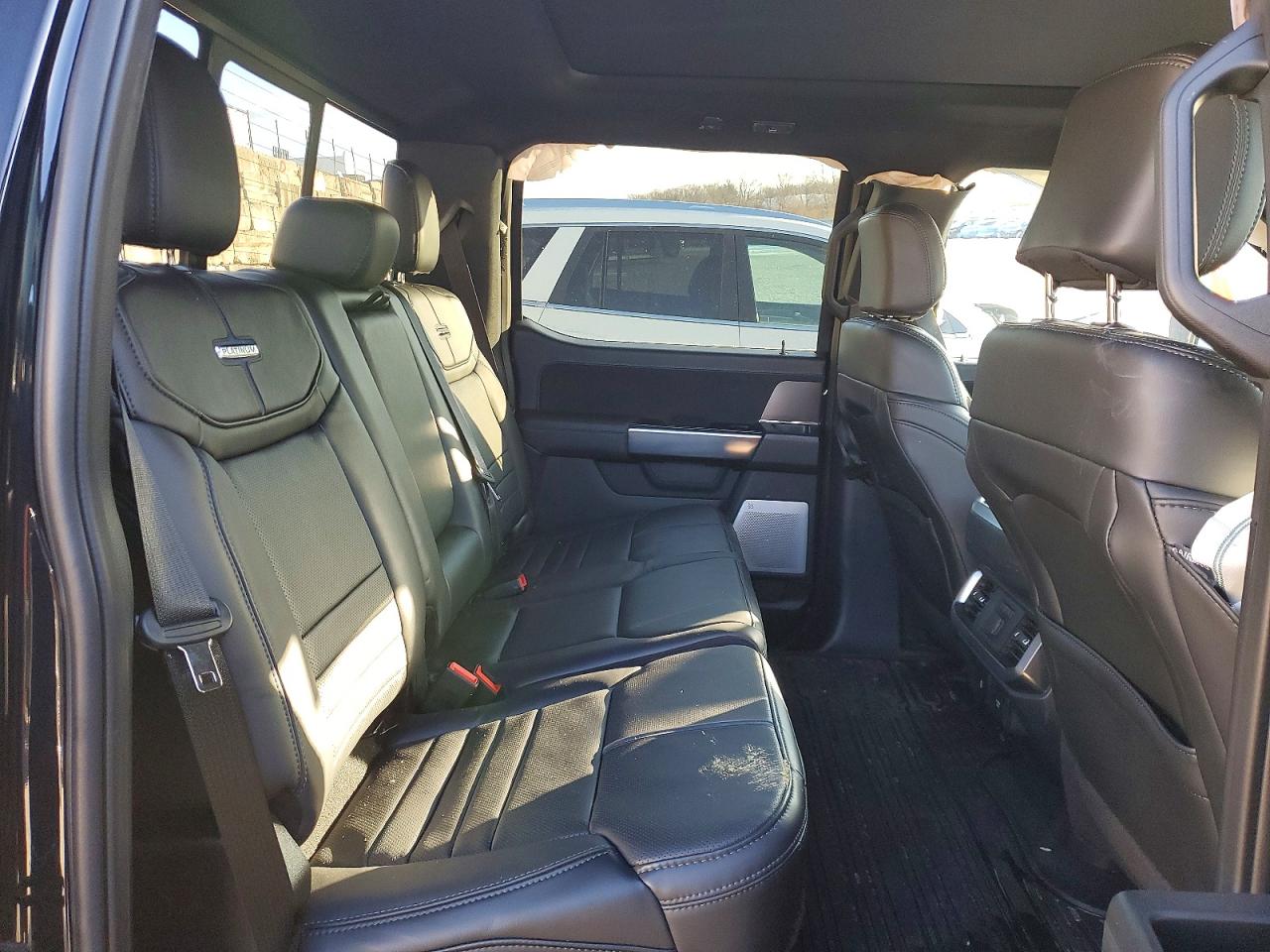 2025 FORD F150 PLATINUM photo 19