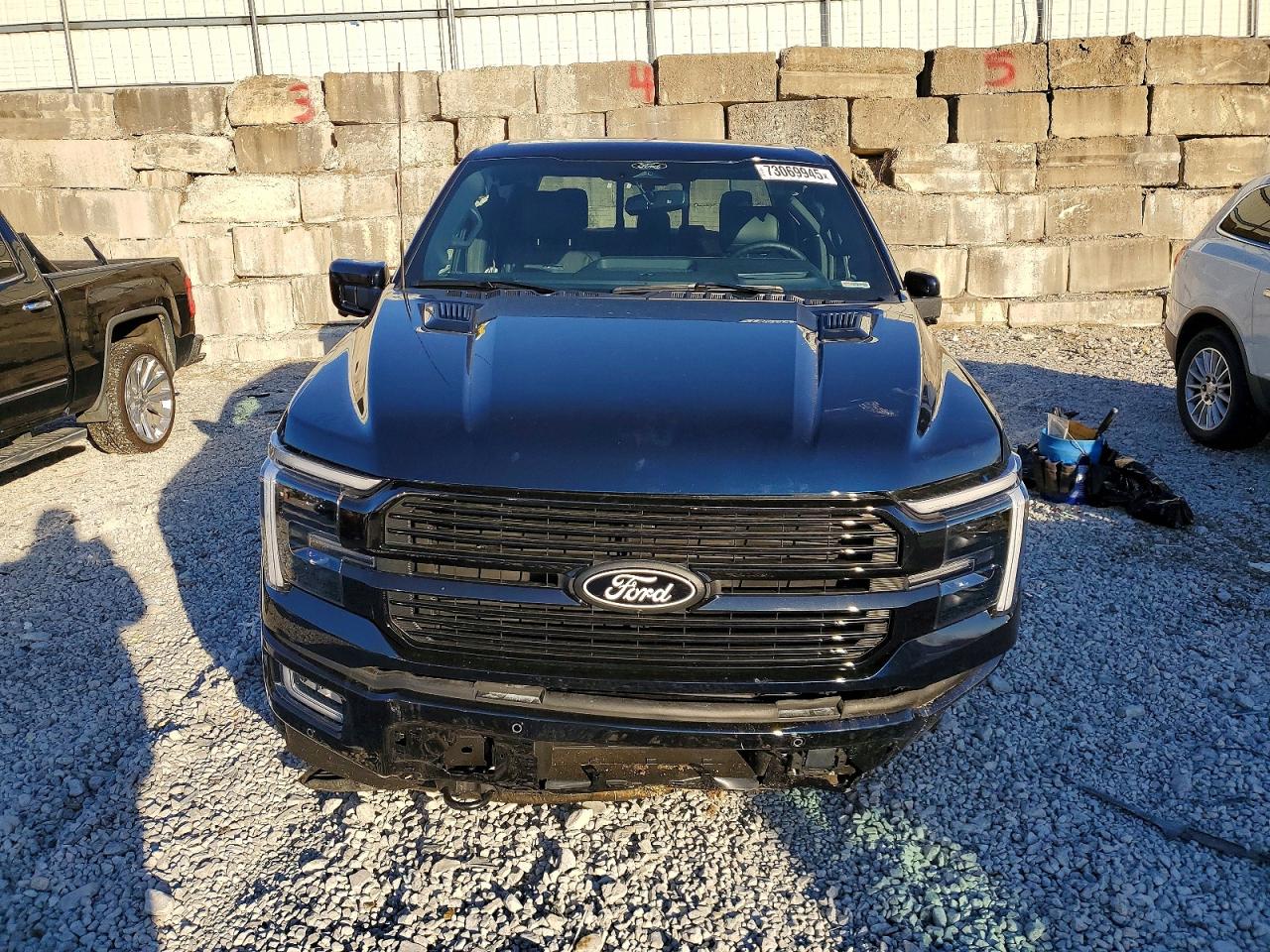 2025 FORD F150 PLATINUM photo 9