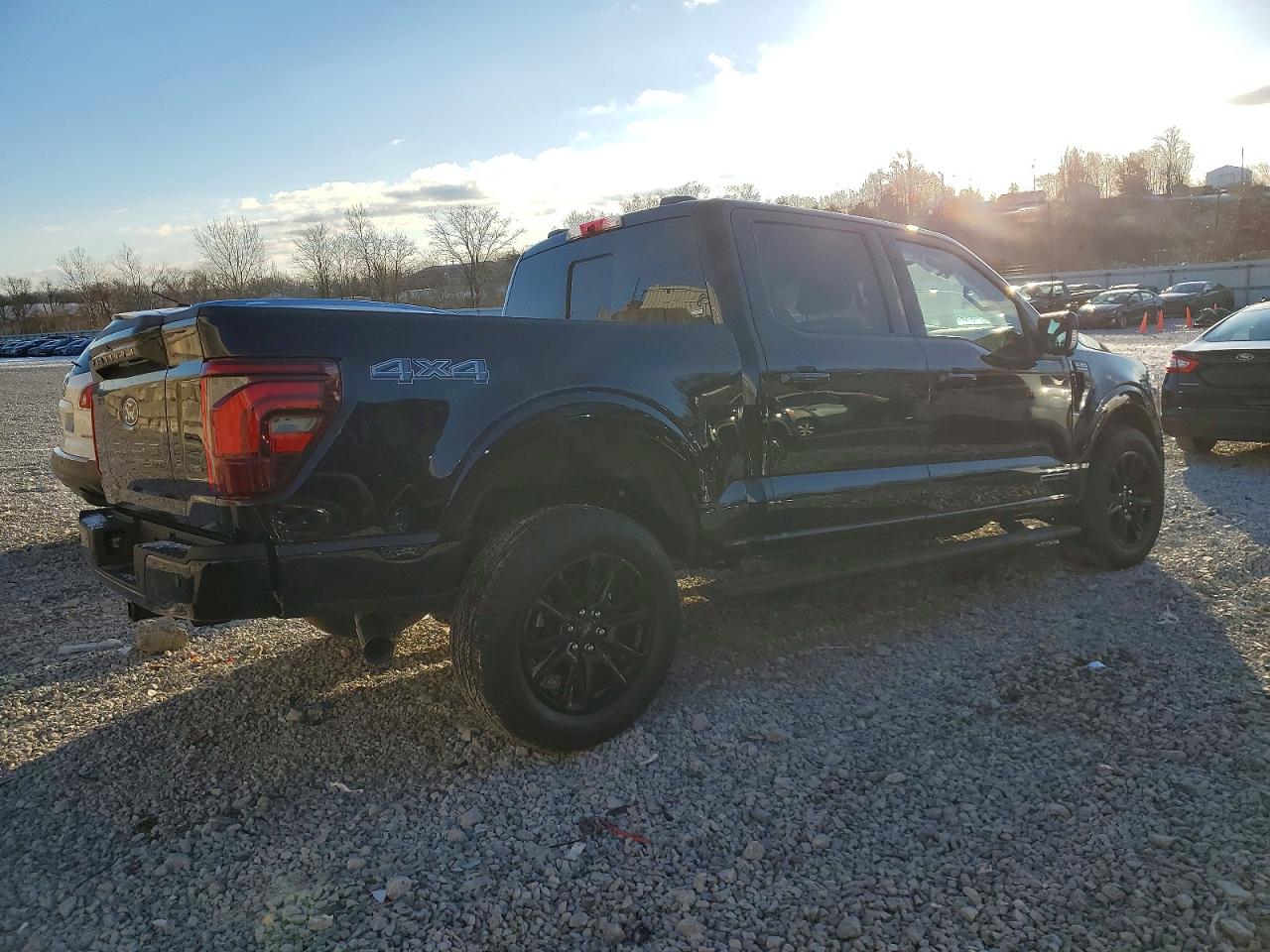 2025 FORD F150 PLATINUM photo 5