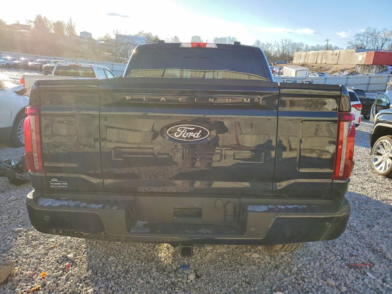 2025 FORD F150 PLATINUM photo 11