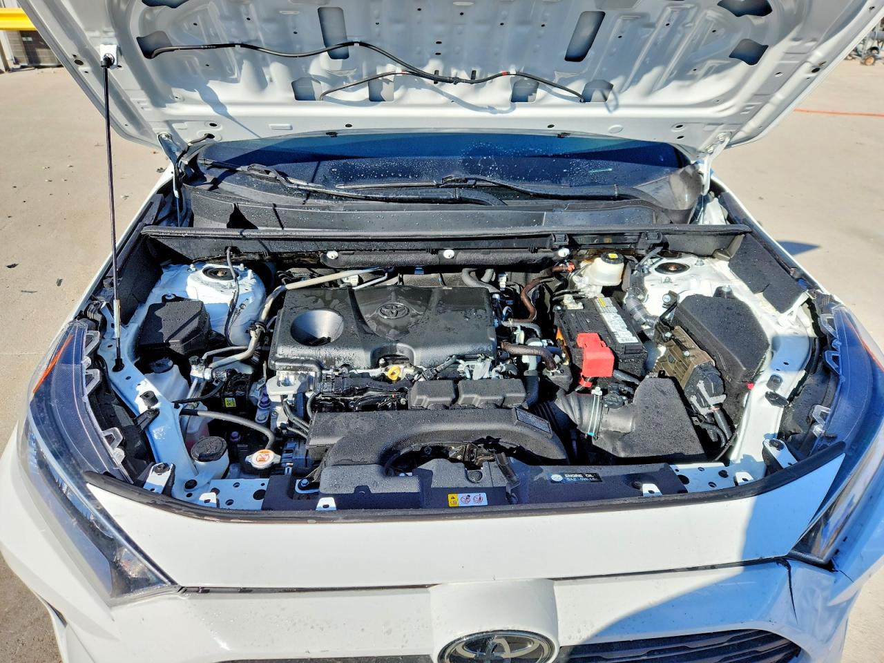 2019 TOYOTA RAV4 XLE photo 12
