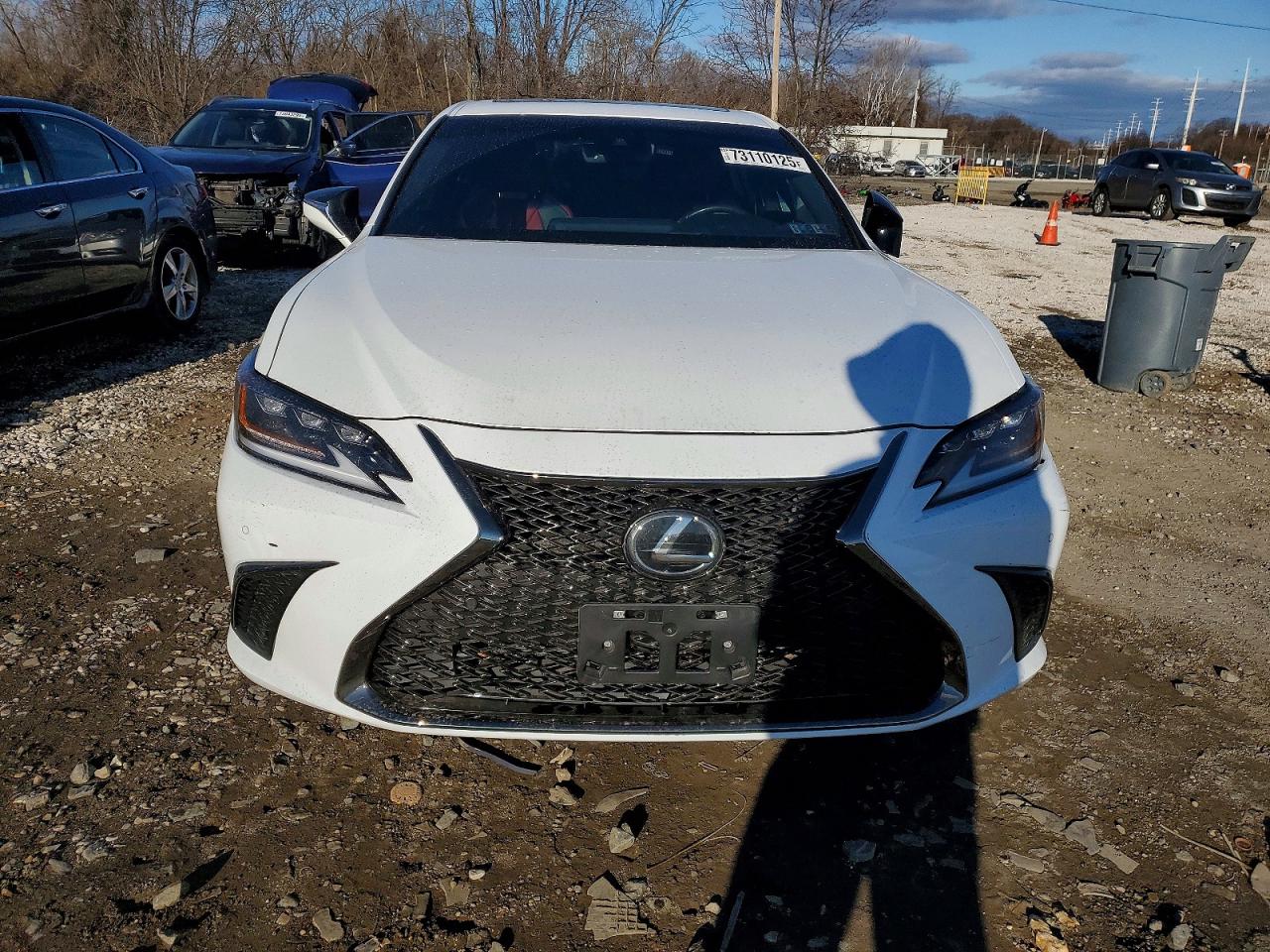 2019 LEXUS ES 350 photo 5