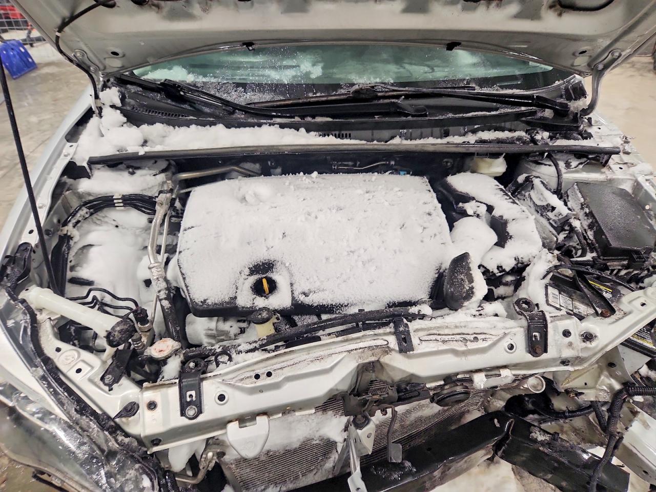 2019 TOYOTA COROLLA XLE photo 11