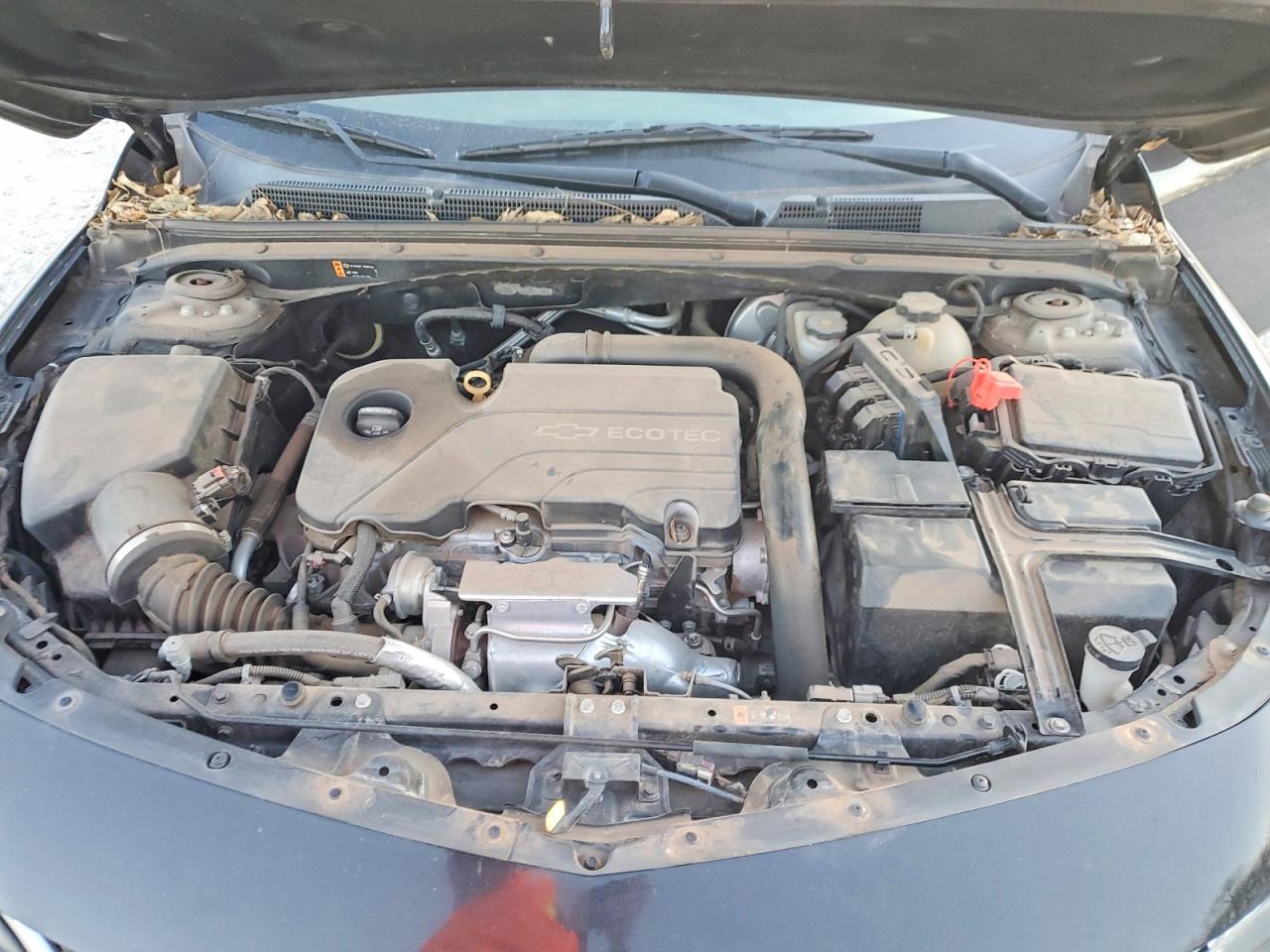 2017 CHEVROLET MALIBU LS photo 11