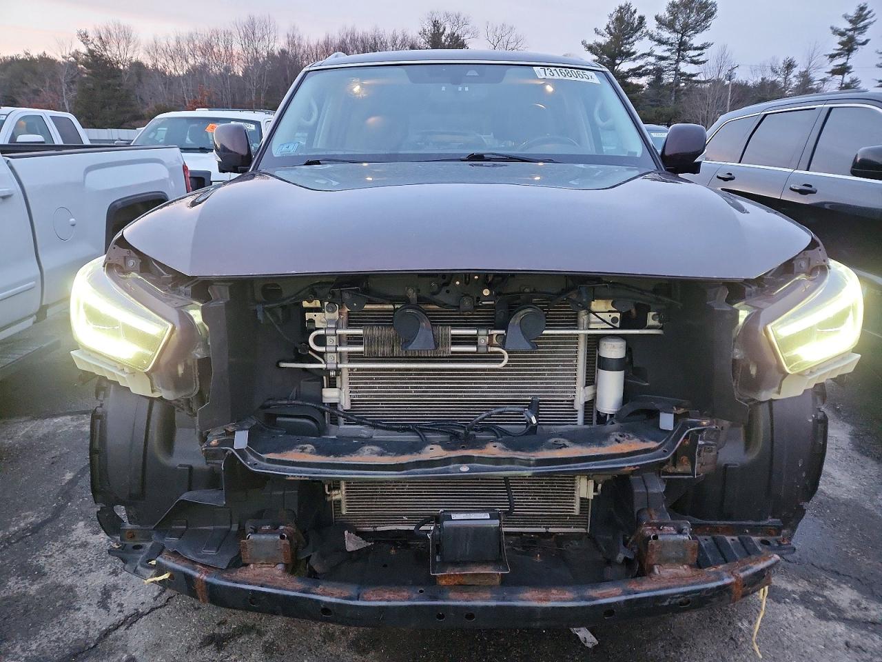 2019 INFINITI QX80 LUXE photo 5