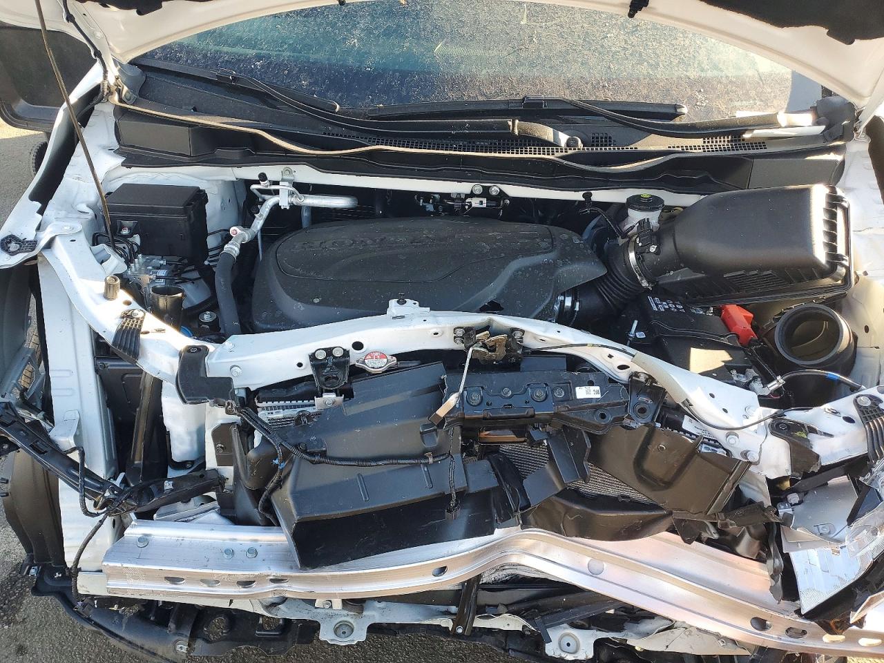 2026 HONDA ODYSSEY EXL photo 12