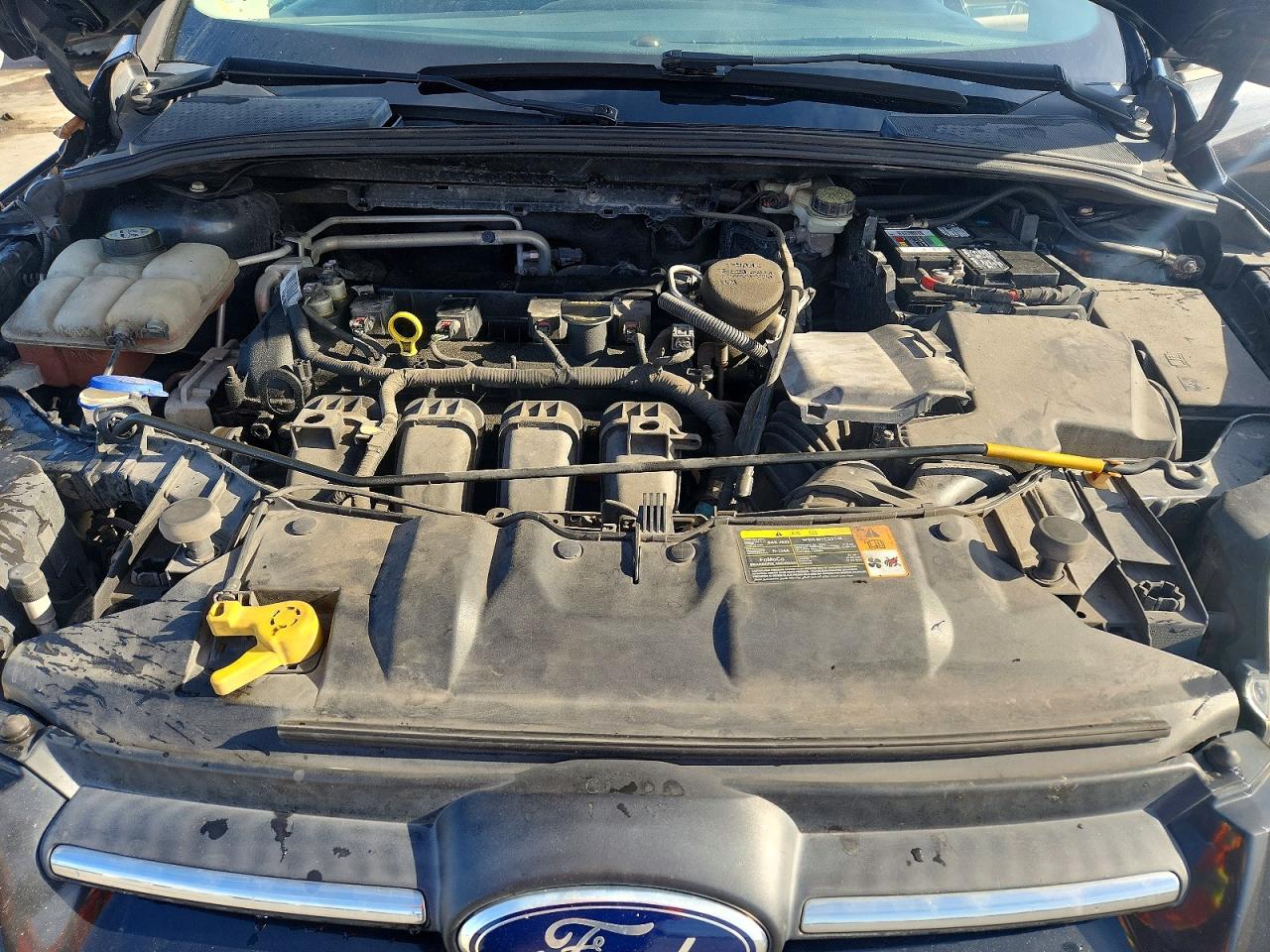 2013 FORD FOCUS SE photo 11