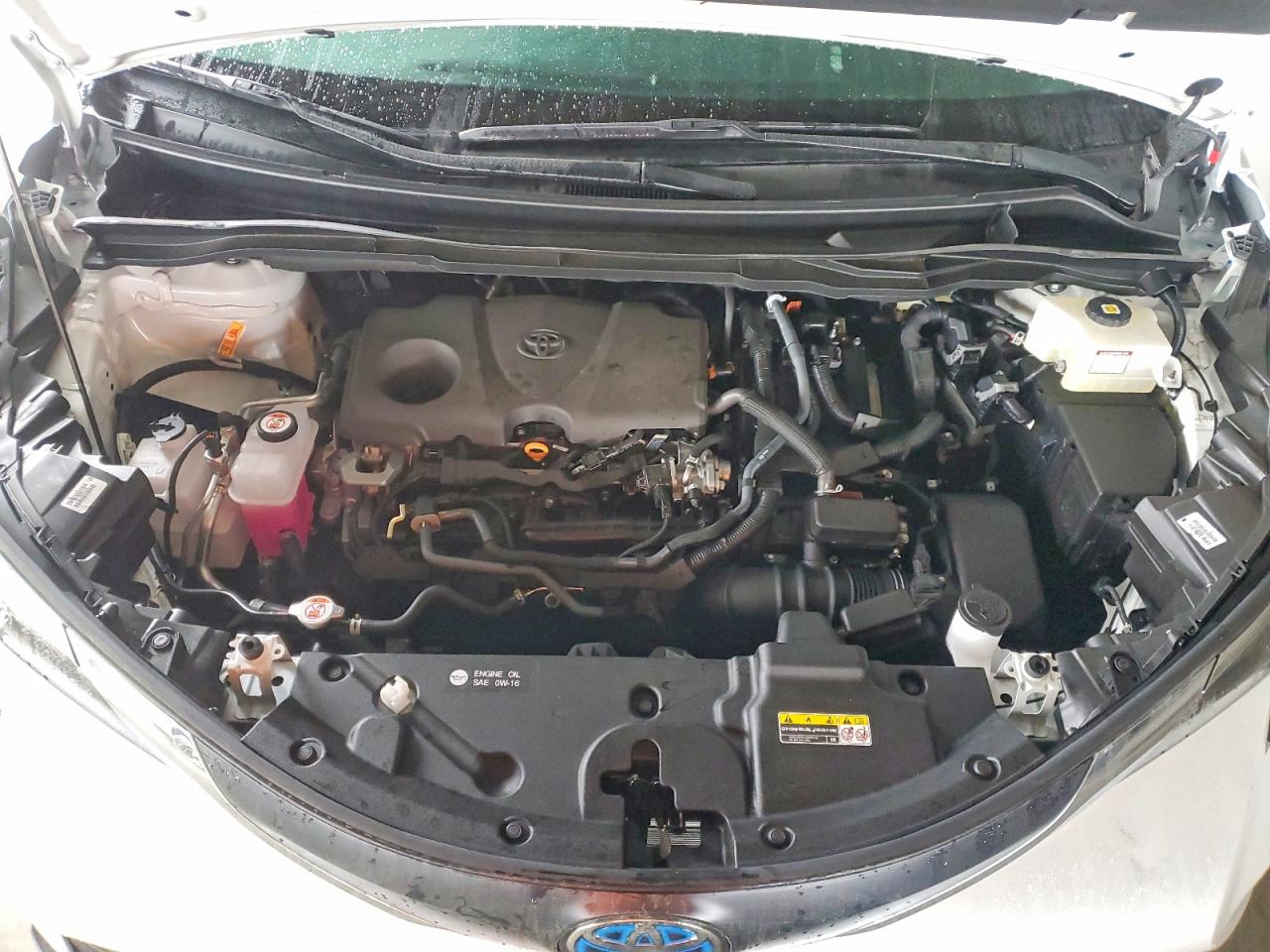2025 TOYOTA SIENNA XLE photo 12