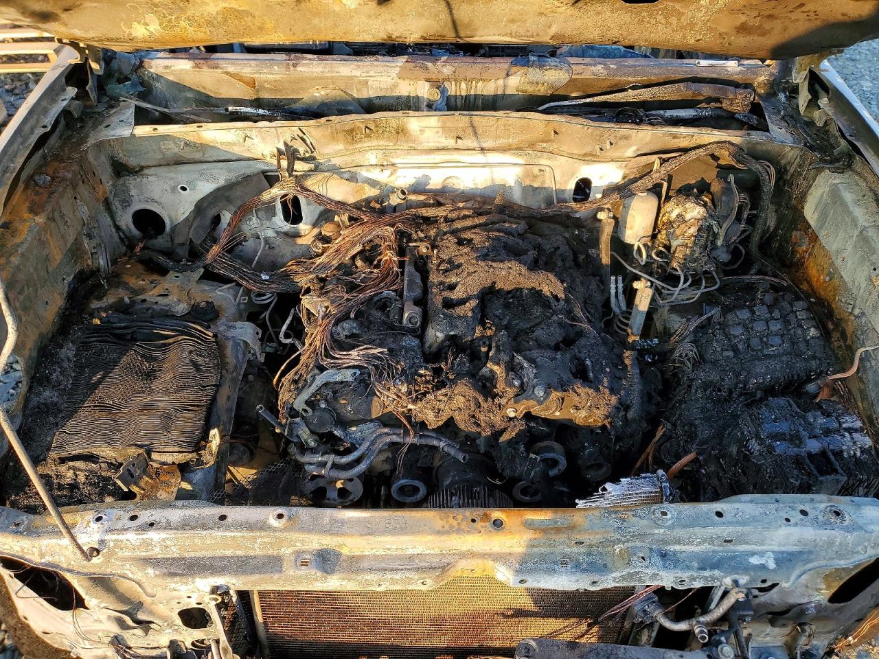 2019 TOYOTA TACOMA DOUBLE CAB photo 11