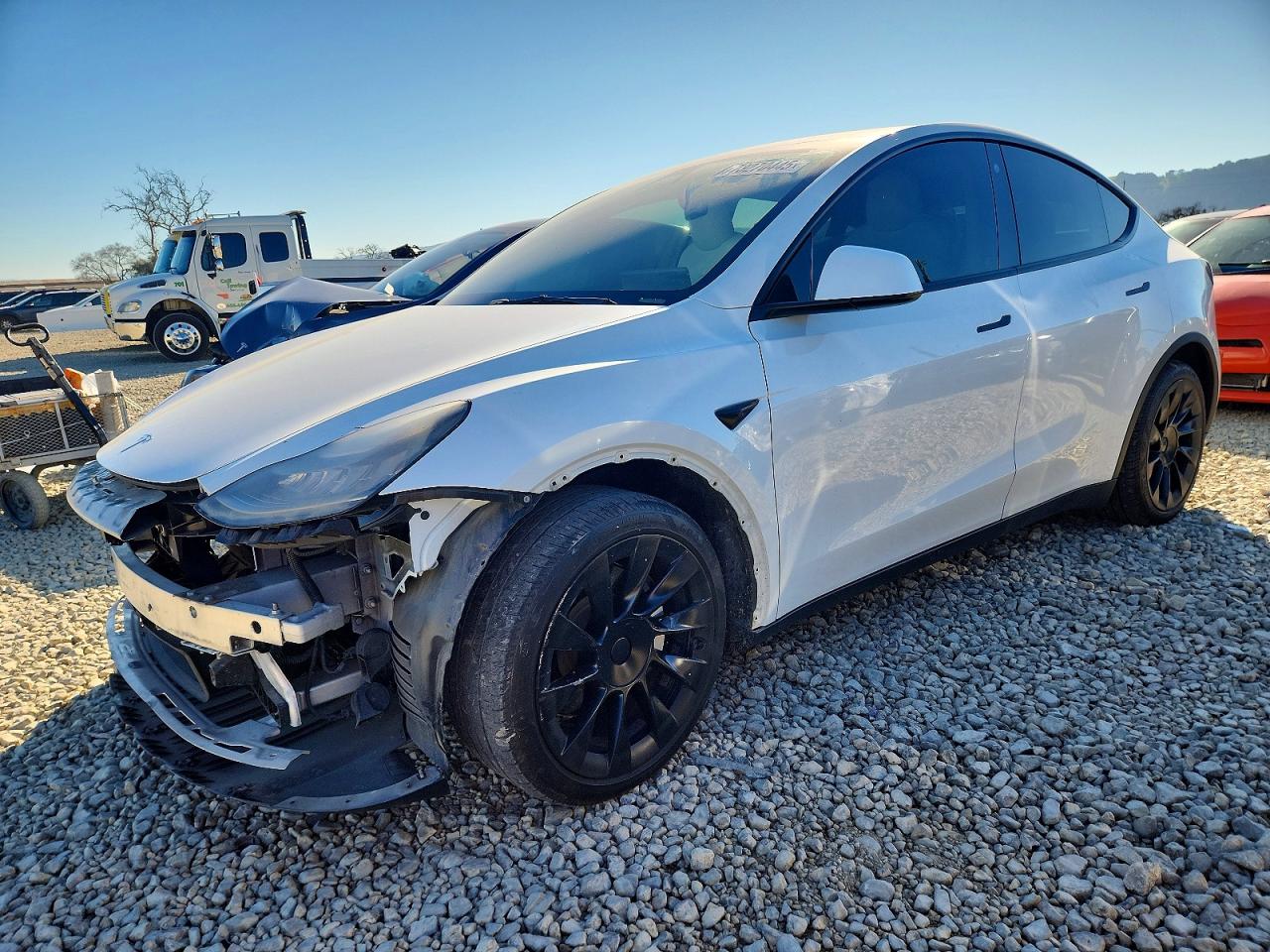 2021 TESLA MODEL Y
